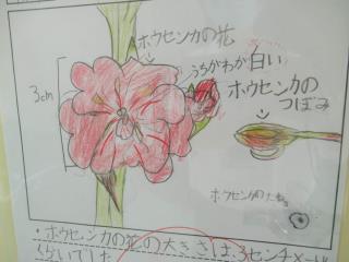 越谷市立西方小学校 ニュース スクールライフ