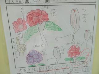 越谷市立西方小学校 ニュース スクールライフ